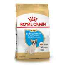 ROYAL BULL DOG FRANCES PUPPY 3KG 